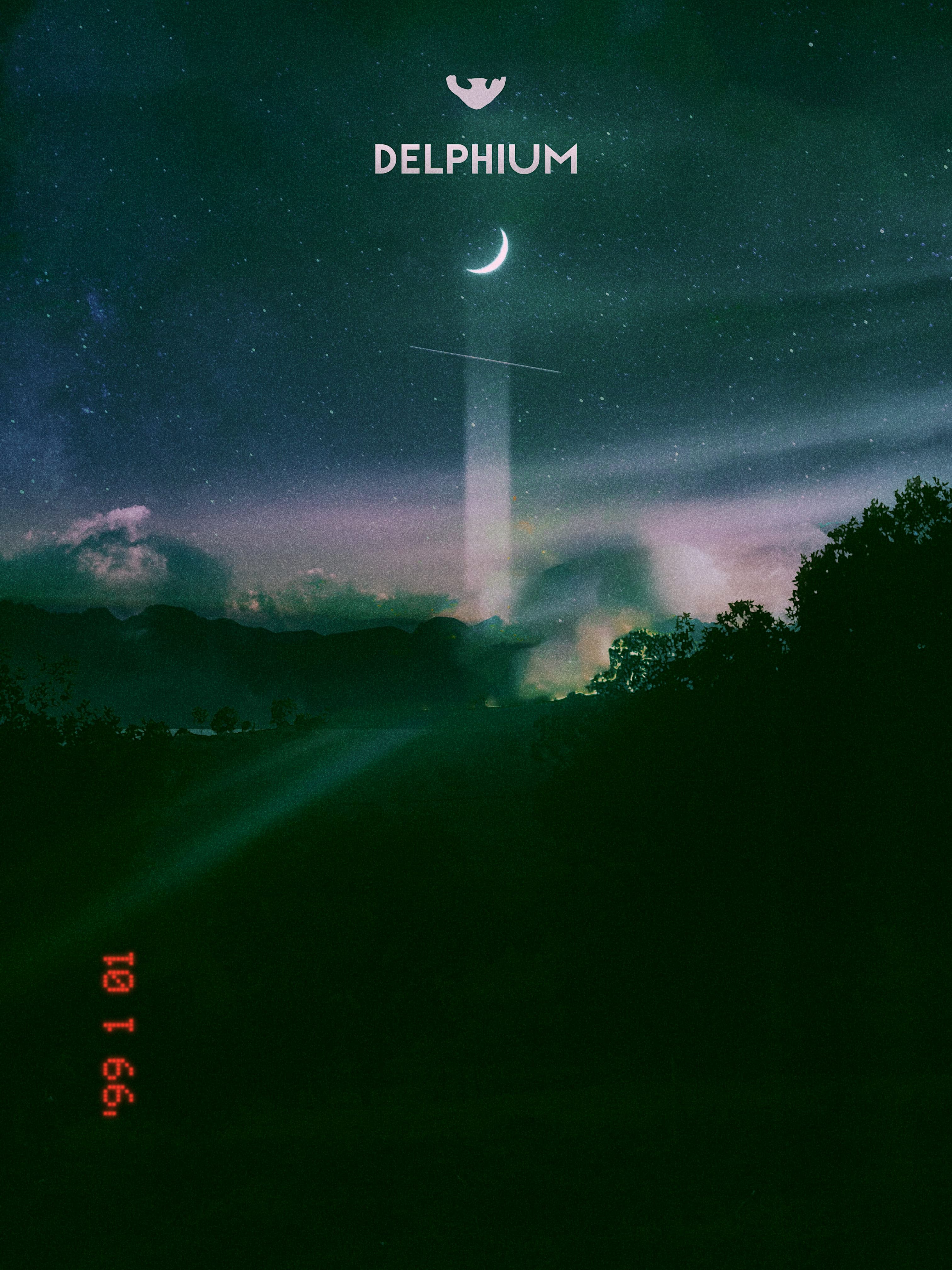 Delphium