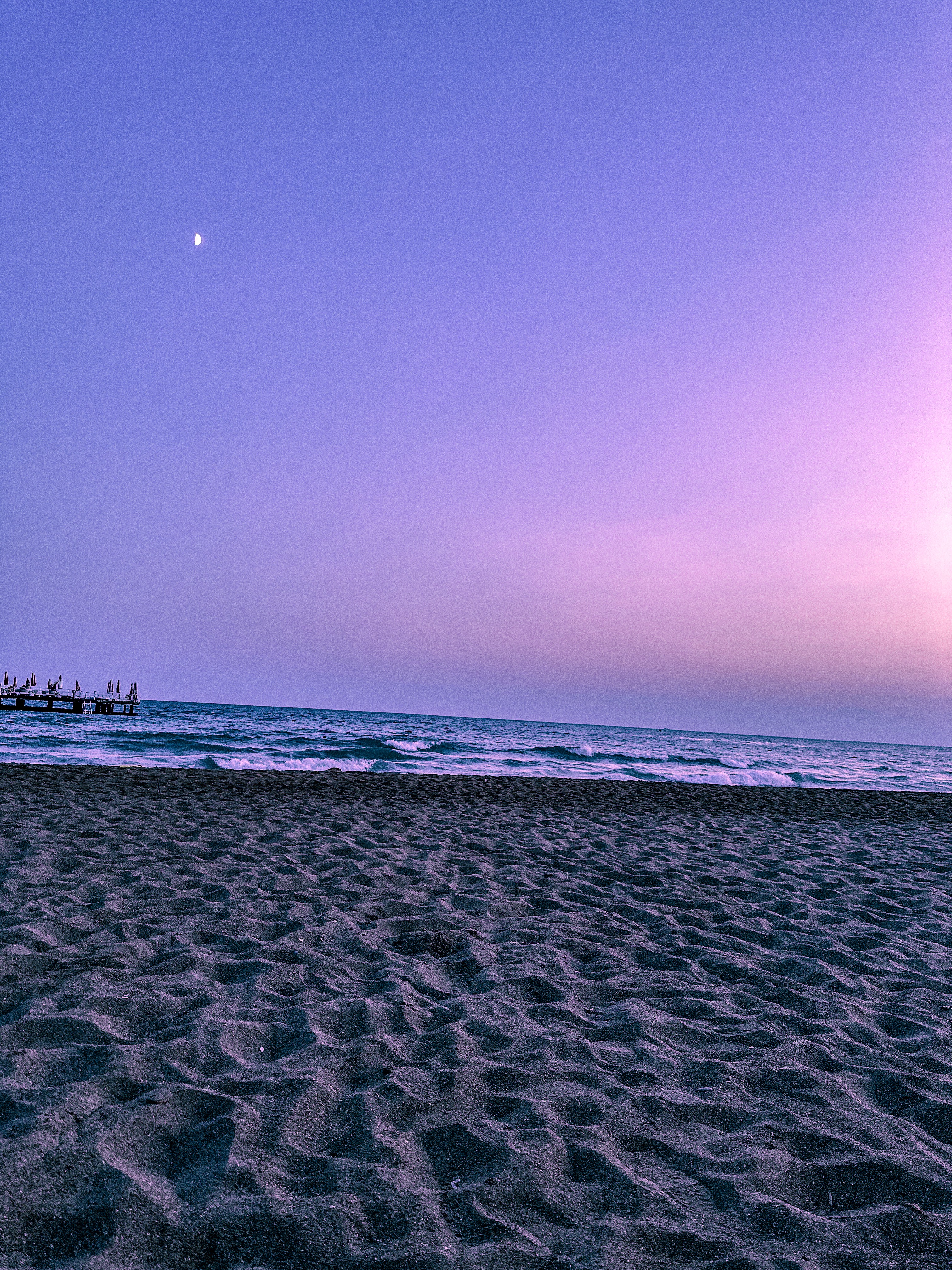 purple1